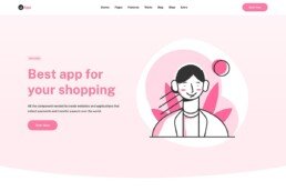 App WordPress Theme
